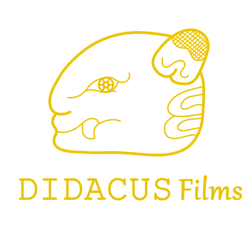 DIDACUS FILMS VECTOR_ AMARILLO